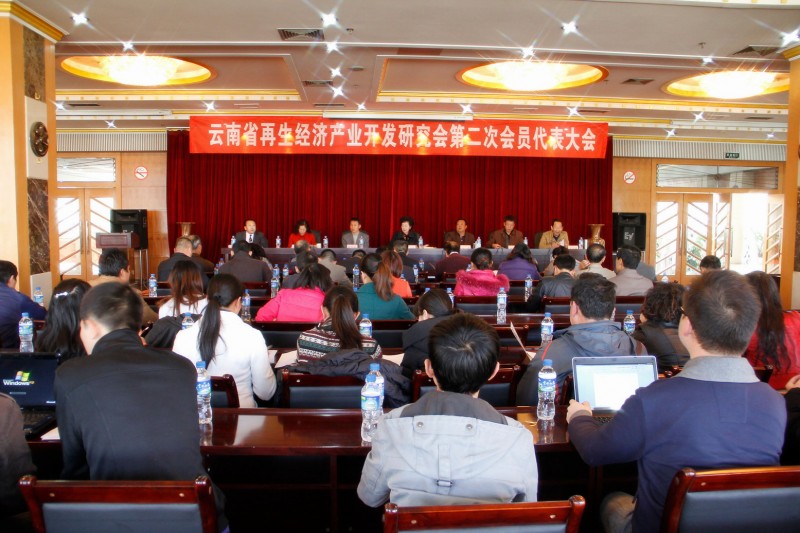 云南再生經濟產業開發研究會第二次會員代表大會主席臺現場