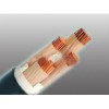 氟塑料絕緣電力電纜（0.6/1kV及以下）