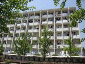 大理州寶隆建筑安裝有限責任公司