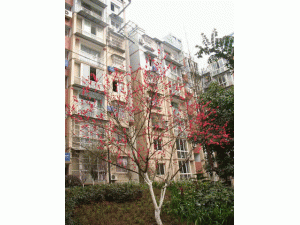 云南榮華房地產有限公司