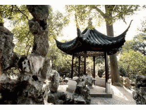昆明伍星園林綠化有限公司