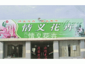 昆明情義花卉斗南批發部