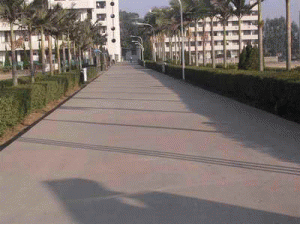 云南屏江公路建設開發有限公司
