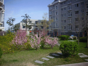 云南晉康房地產開發有限公司