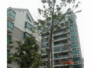 大理三江房地產開發有限責任公司