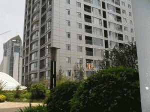 云南華龍園林綠化工程有限公司