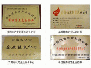 云南綠大地生物科技股份有限公司